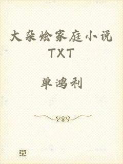 大杂烩家庭小说TXT