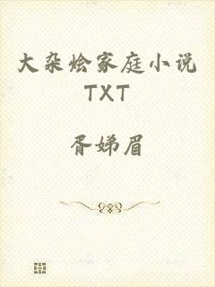 大杂烩家庭小说TXT