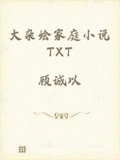 大杂烩家庭小说TXT
