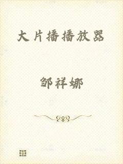 大片播播放器