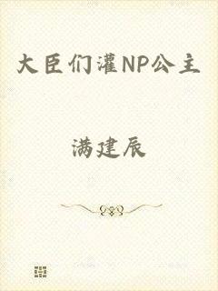 大臣们灌NP公主