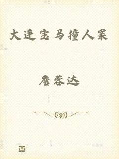 大连宝马撞人案