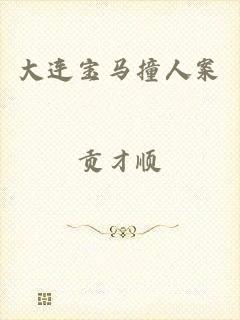 大连宝马撞人案