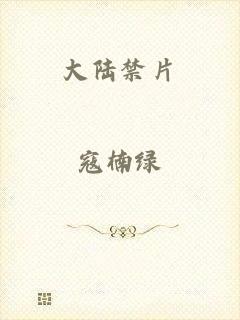 大陆禁片