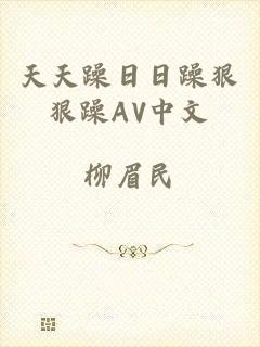 天天躁日日躁狠狠躁AV中文