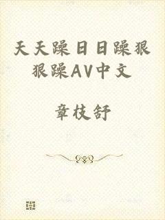 天天躁日日躁狠狠躁AV中文