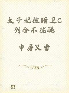 太子妃被暗卫C到合不拢腿