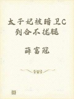 太子妃被暗卫C到合不拢腿