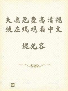 夫妻免费高清视频在线观看中文