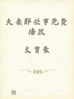 夫妻那些事免费播放
