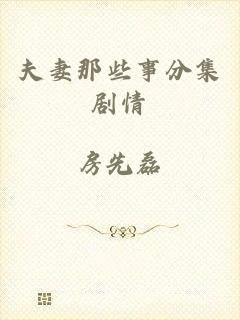 夫妻那些事分集剧情