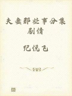 夫妻那些事分集剧情