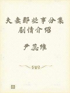 夫妻那些事分集剧情介绍