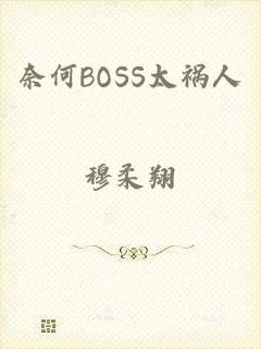 奈何BOSS太祸人