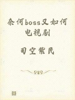 奈何boss又如何电视剧