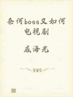 奈何boss又如何电视剧