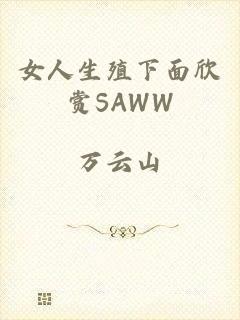 女人生殖下面欣赏SAWW
