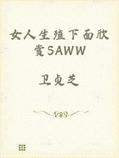 女人生殖下面欣赏SAWW