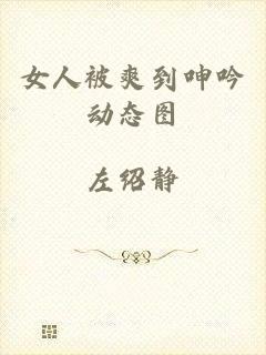 女人被爽到呻吟动态图