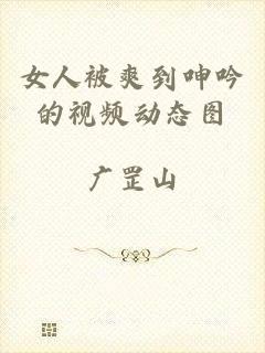 女人被爽到呻吟的视频动态图