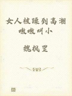 女人被躁到高潮嗷嗷叫小