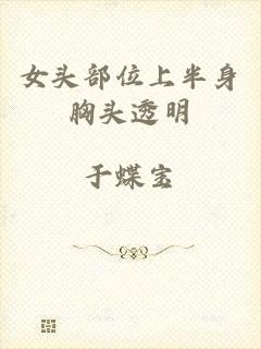 女头部位上半身胸头透明