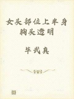 女头部位上半身胸头透明