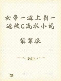 女帝一边上朝一边被C流水小说