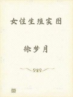 女性生殖实图