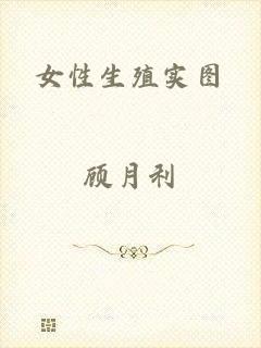 女性生殖实图