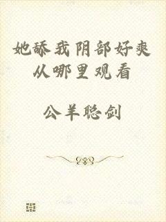 她舔我阴部好爽从哪里观看