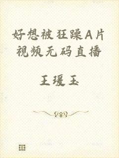 好想被狂躁A片视频无码直播