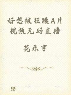 好想被狂躁A片视频无码直播