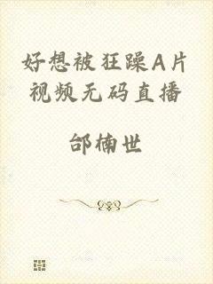 好想被狂躁A片视频无码直播