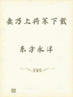 妻乃上将军下载
