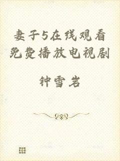 妻子5在线观看免费播放电视剧