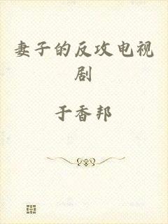 妻子的反攻电视剧
