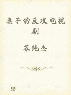 妻子的反攻电视剧