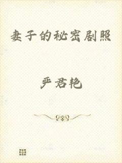 妻子的秘密剧照