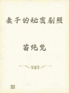 妻子的秘密剧照