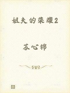 姐夫的荣耀2