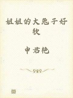 姐姐的大兔子好软