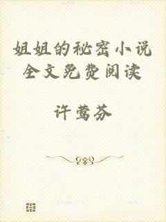 姐姐的秘密小说全文免费阅读