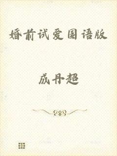 婚前试爱国语版