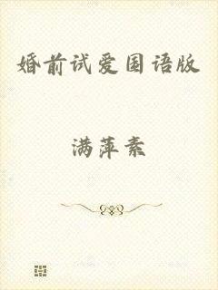 婚前试爱国语版