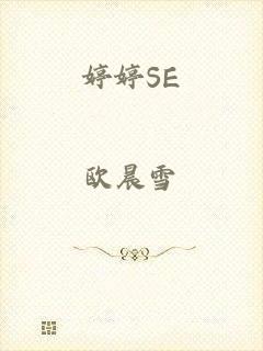 婷婷SE