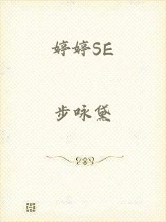 婷婷SE