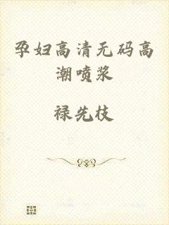 孕妇高清无码高潮喷浆