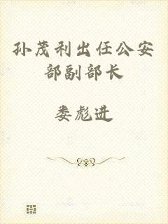 孙茂利出任公安部副部长