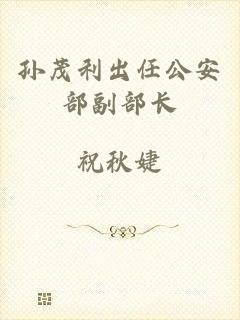 孙茂利出任公安部副部长